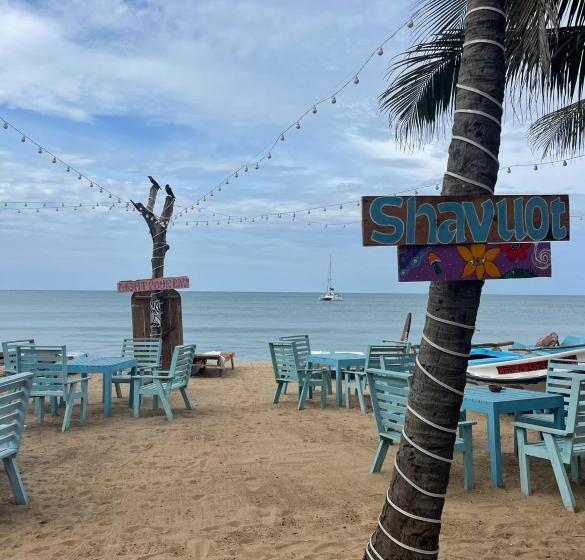 Номер Стандарт, No Name Beach Resort