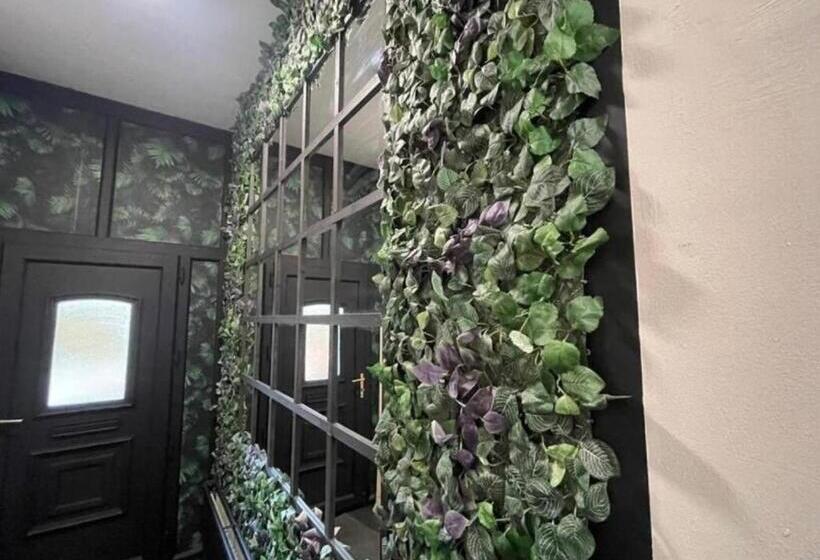 اتاق لوکس, Dream Home