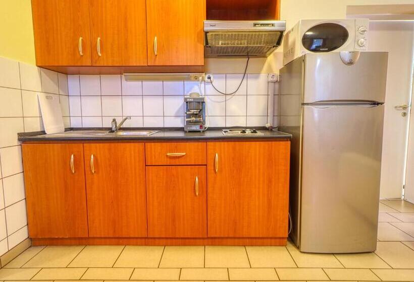 Апартаменты 1 Спальня Нижний Этаж, Villa Park Apartmanház