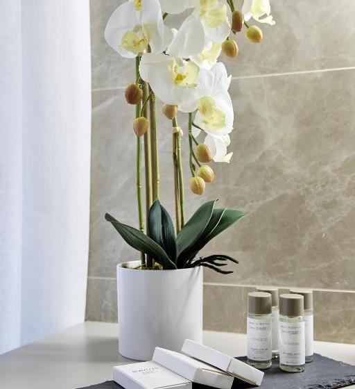 اتاق لوکس, Sarpi Apartment & Suite