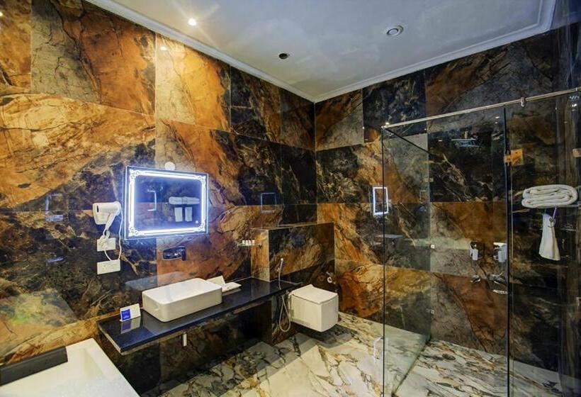 Номер Deluxe, Sarovar Portico Saharanpur