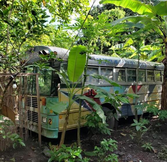 정원 전망 4인용 스탠다드 룸, Rainbow Caravan Hostel