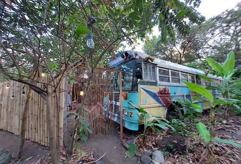 정원 전망 4인용 스탠다드 룸, Rainbow Caravan Hostel