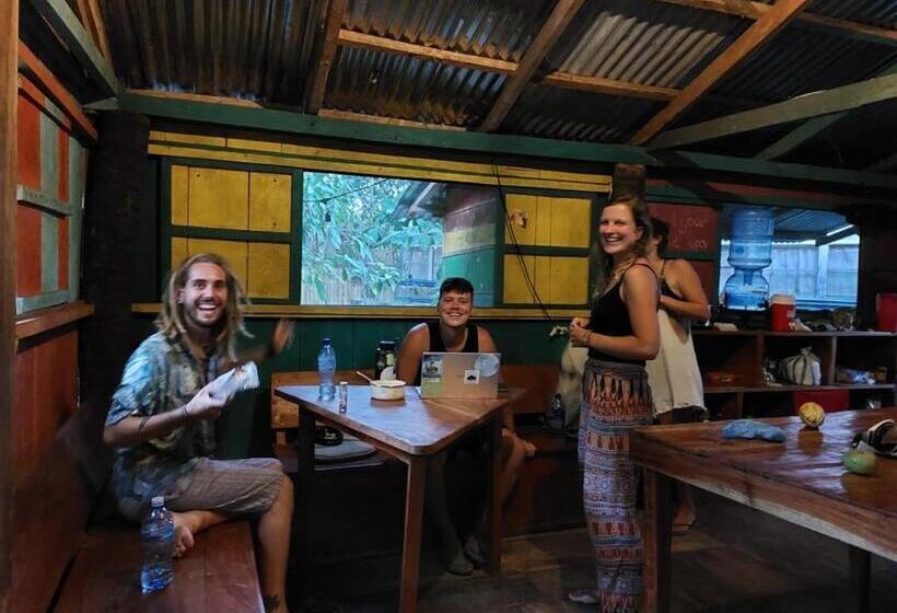 공동 객실, Rainbow Caravan Hostel