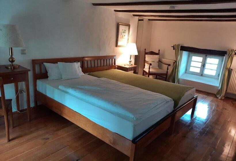 Номер Стандарт, Maternushof