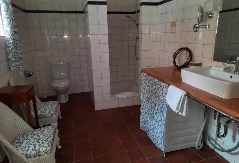 Номер Стандарт, Maternushof