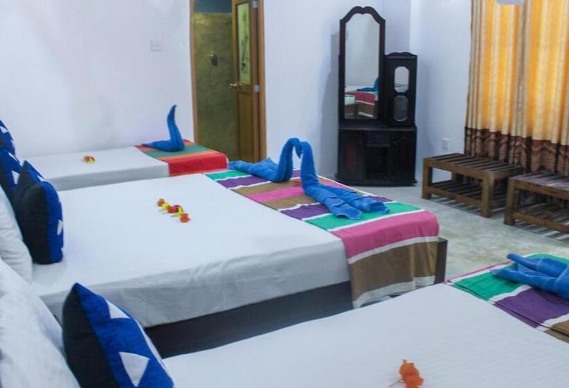 اتاق خانوادگی, Lathika Homes