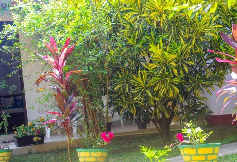 اتاق خانوادگی, Lathika Homes