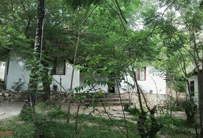 اتاق استاندارد با چشم‌انداز باغ, Kilifi Maghreb