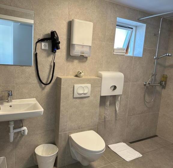اتاق استاندارد با سرویس بهداشتی مشترک, Guesthouse Dyngja