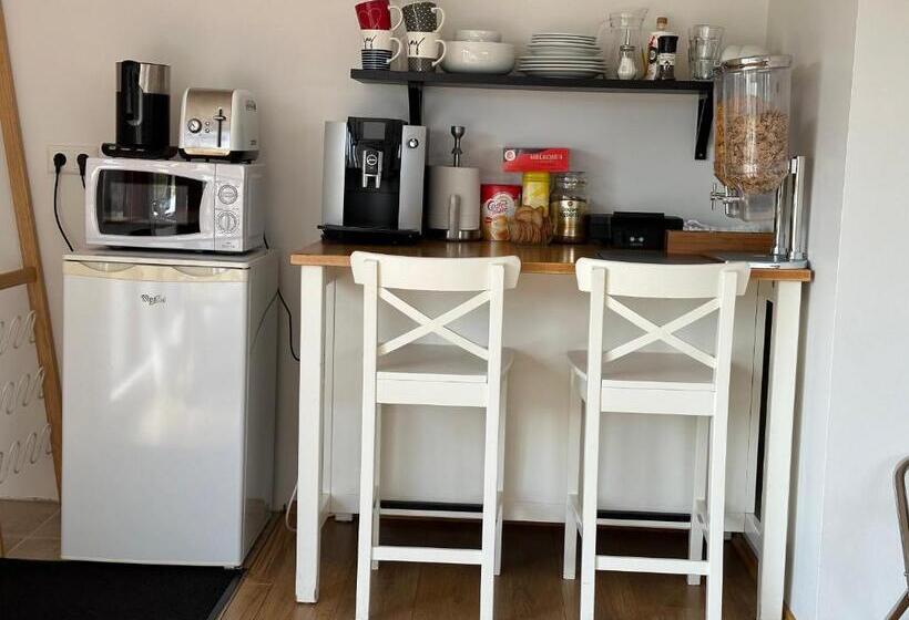 استودیوی استاندارد, Guesthouse Dyngja