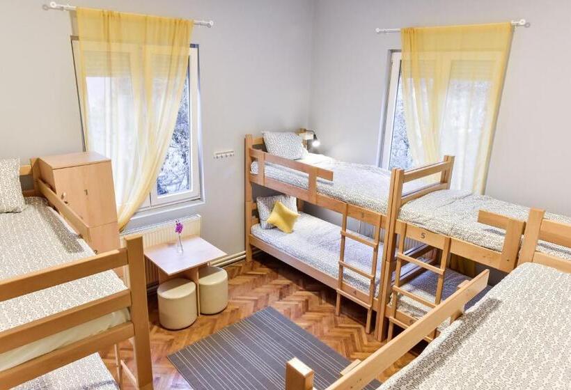 تختخواب در اتاق مشترک, Get Inn Skopje Hostel