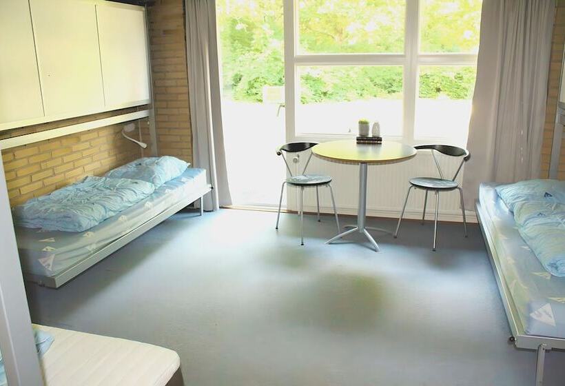 غرفة قياسية, Danhostel Horsens