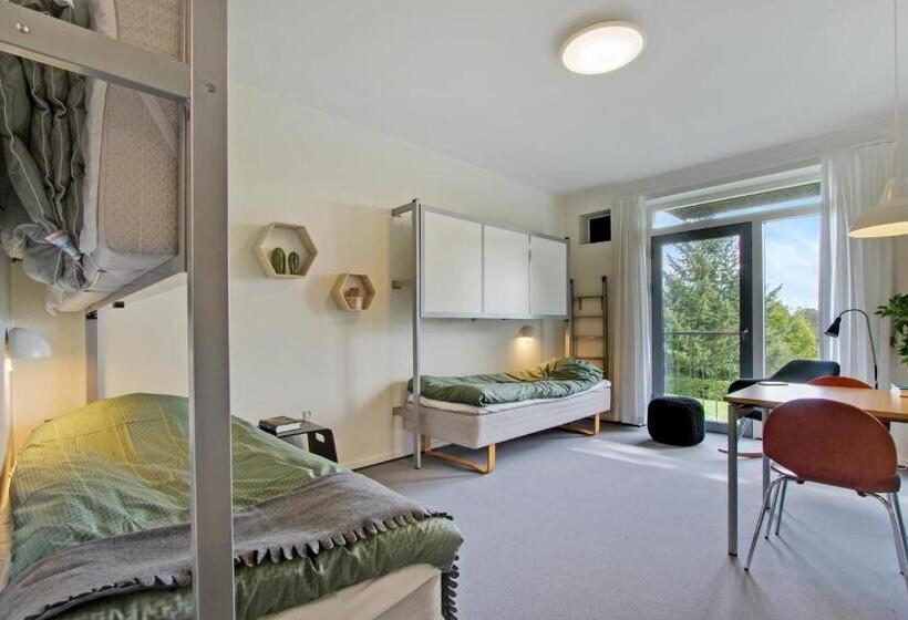 Четырехместный Номер Стандарт, Danhostel Kolding