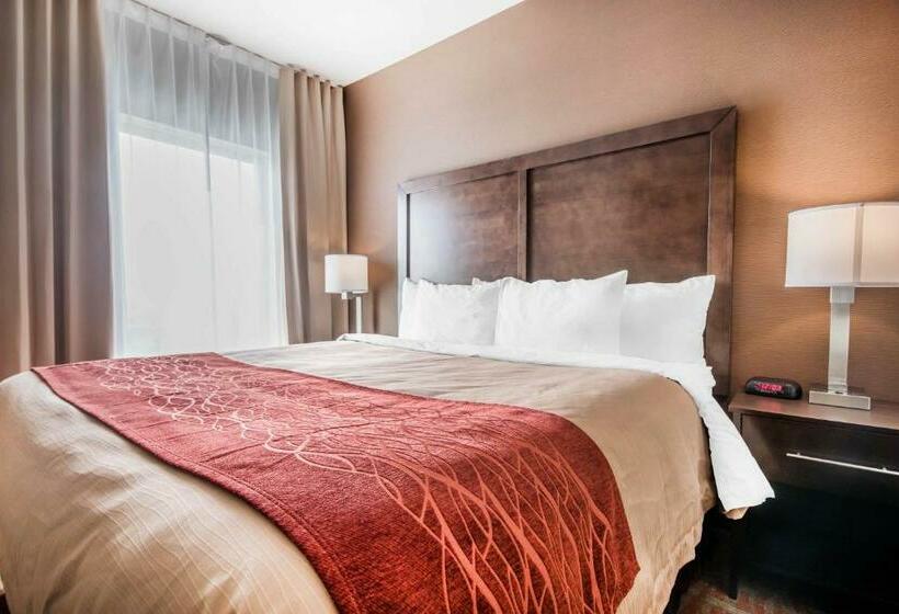 Стандартный Номер Кровать Кинг, Comfort Inn & Suites Merritt