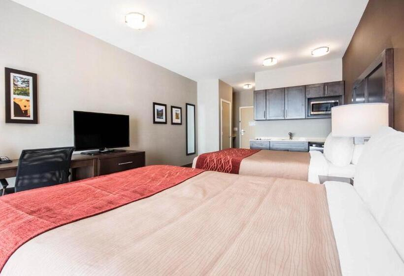 Номер Стандарт, Comfort Inn & Suites Merritt