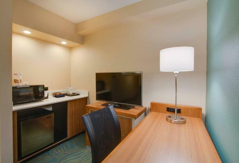 Люкс, Springhill Suites By Marriott Orlando Lake Buena Vista South