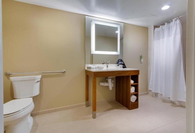 Люкс Кровать Кинг, Springhill Suites By Marriott Orlando Lake Buena Vista South