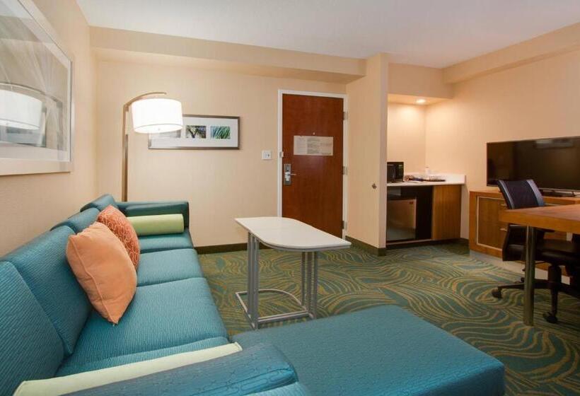Люкс Кровать Кинг, Springhill Suites By Marriott Orlando Lake Buena Vista South