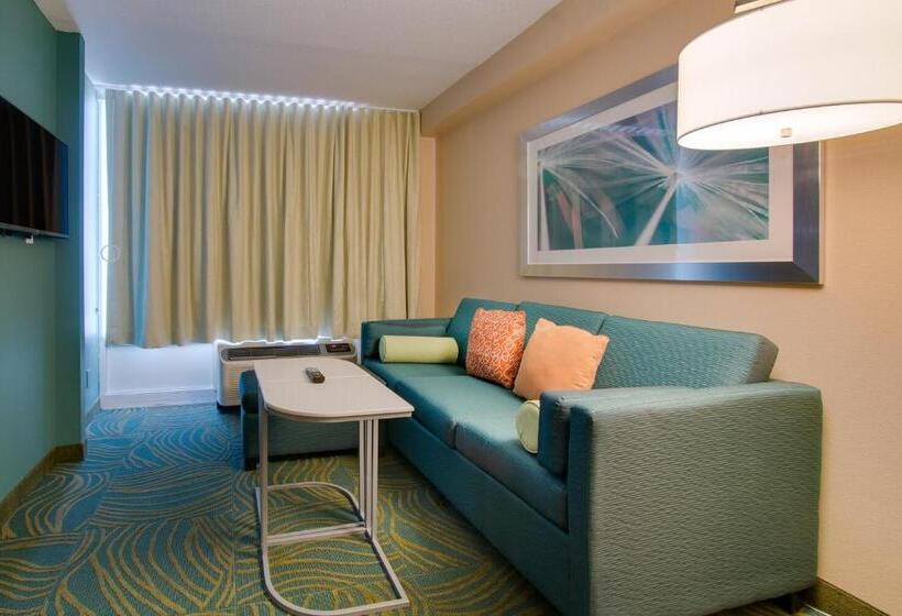 Люкс Кровать Кинг, Springhill Suites By Marriott Orlando Lake Buena Vista South