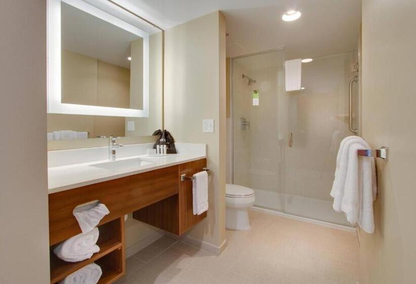 Студио Стандарт Кровать Кинг, Springhill Suites By Marriott Orlando Lake Buena Vista South