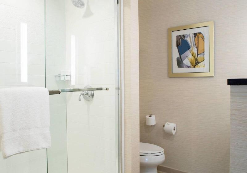 Люкс Кровать Кинг, Fairfield Inn & Suites By Marriott New York Queens/fresh Meadows