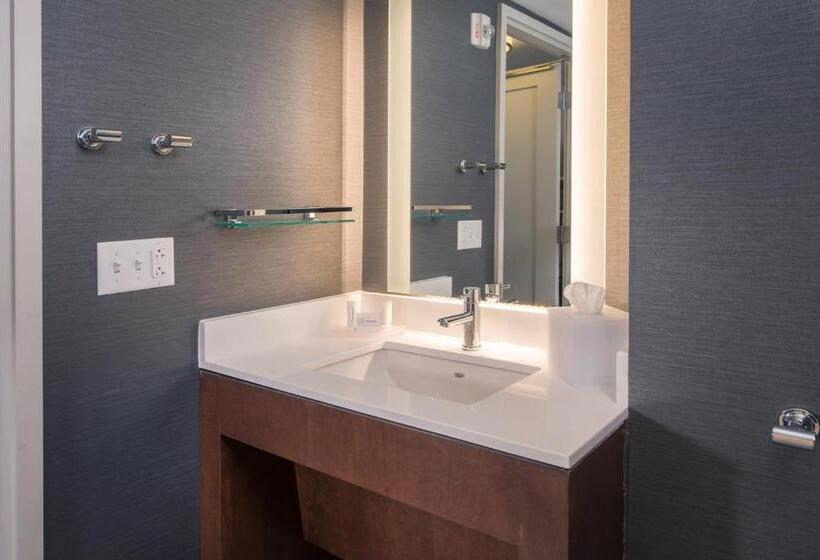 带城市景观的套间, Residence Inn By Marriott Baltimore At The Johns Hopkins Medical Campus