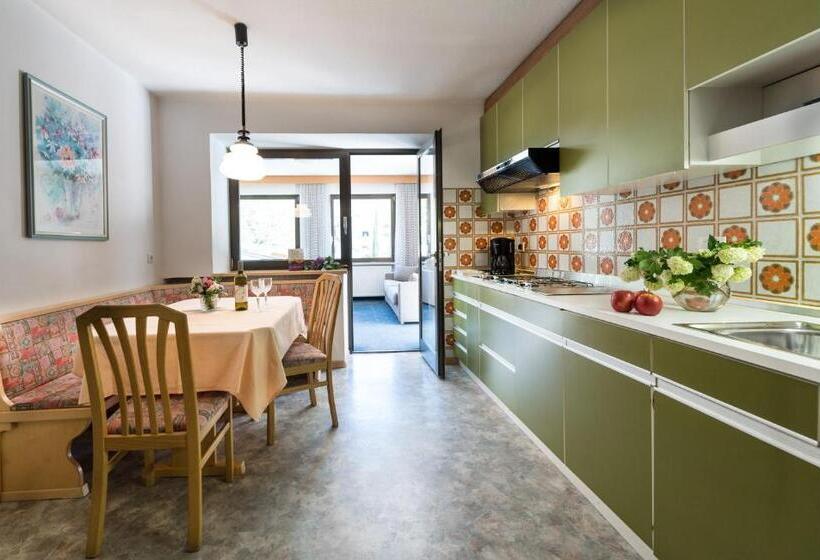 Апартаменты 1 Спальня с Террасой, Apartm. & Bb Ferienidylle Gstrein