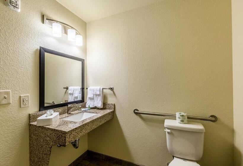 장애인을 위한 스탠다드 룸, Cobblestone Hotel & Suites   Stevens Point