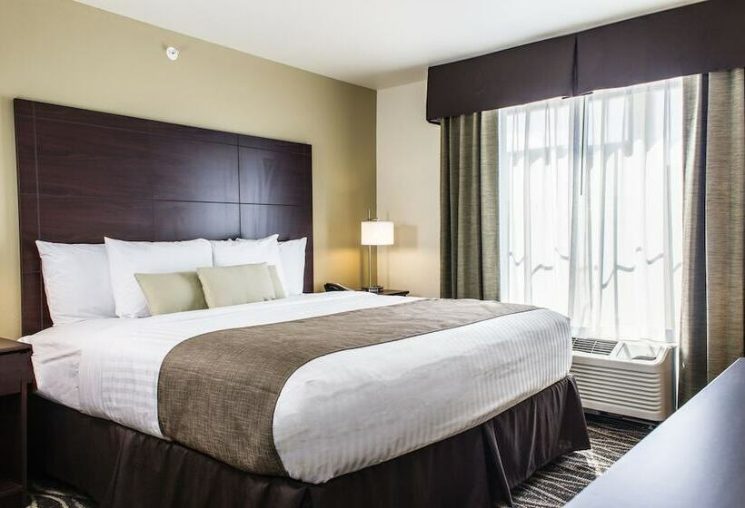 스탠다드 스튜디오, Cobblestone Hotel & Suites   Stevens Point