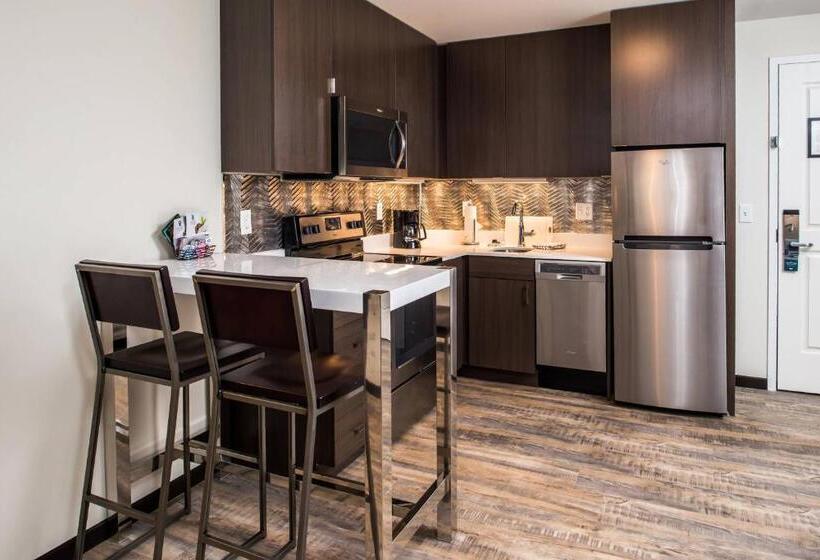 带大床的套房, Residence Inn By Marriott Pittsburgh Oakland/university Place