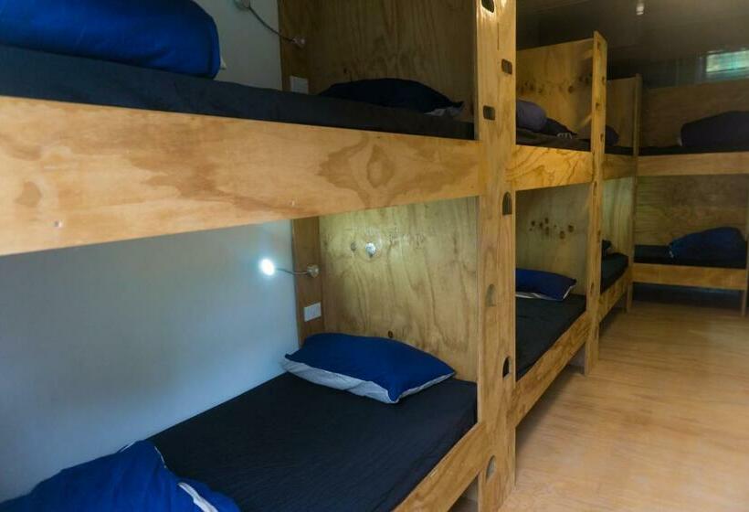 Кровать в Общей Комнате, Adventure Inn Marahau