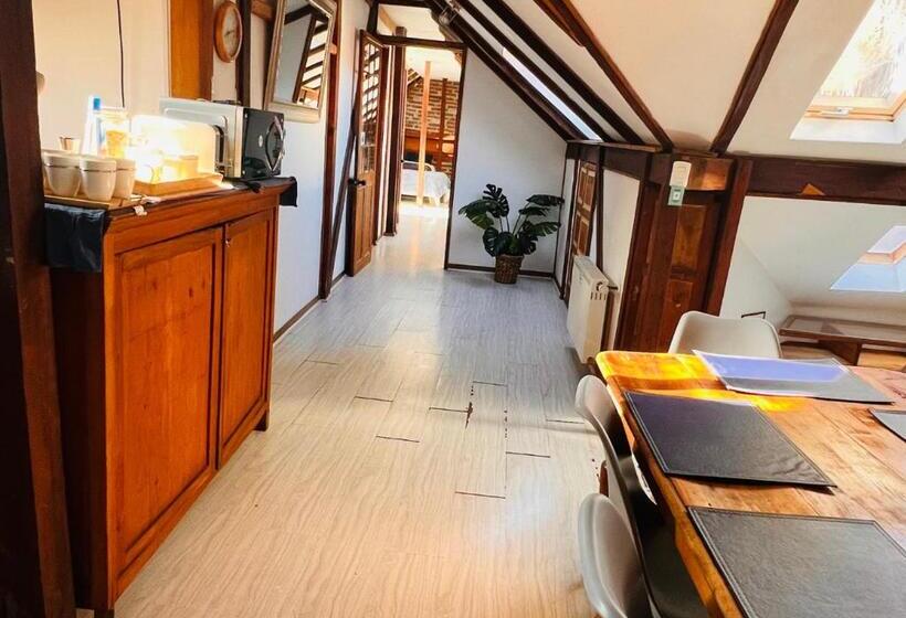 استودیوی استاندارد, Casona Montt 522   B&b