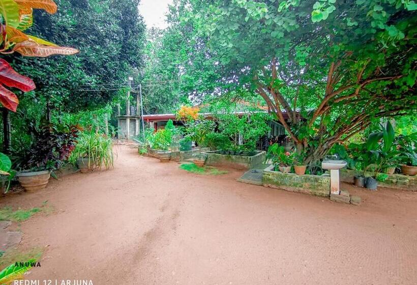Номер Стандарт Трехместный, Travels First Sigiriya Hostel