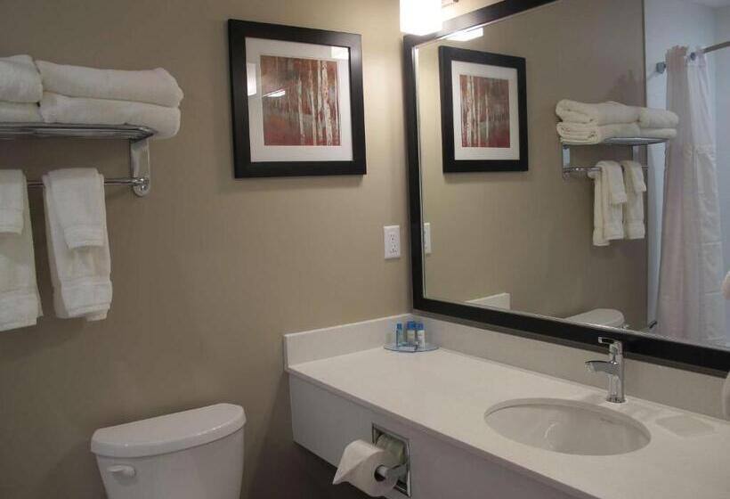 Стандартный Номер Кровать Кинг, Best Western Plus Merritt