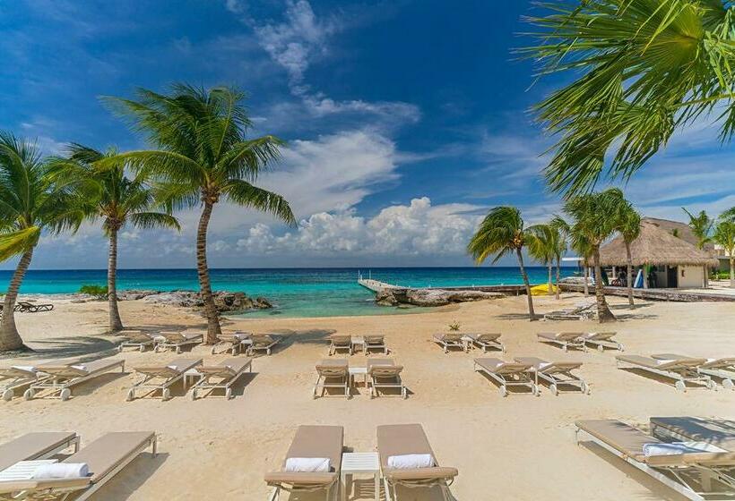Standard Studio King Bed, The Westin Cozumel