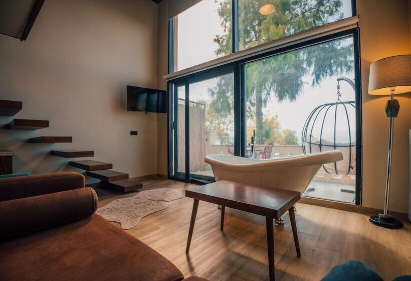 اتاق استاندارد, Dellago Luxury Hotel Sapanca