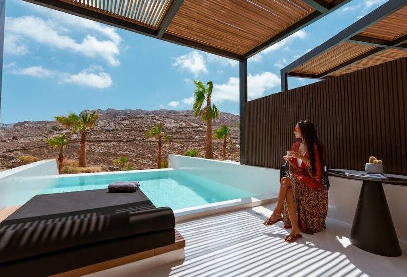 Полулюкс с Бассейном, Ftelia Black Villas