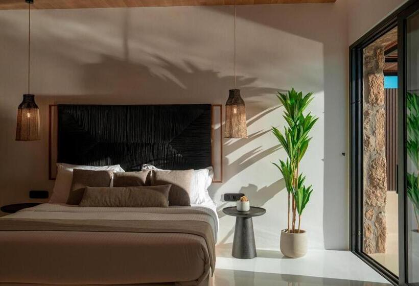 Президентский Люкс, Ftelia Black Villas