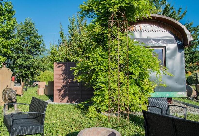 اتاق استاندارد, Crazy Lounge B&b