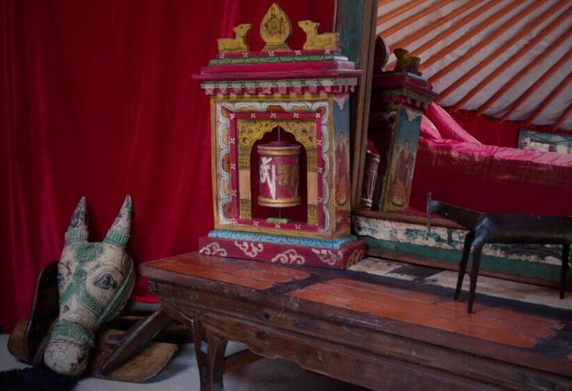 اتاق خانوادگی, Crazy Lounge B&b