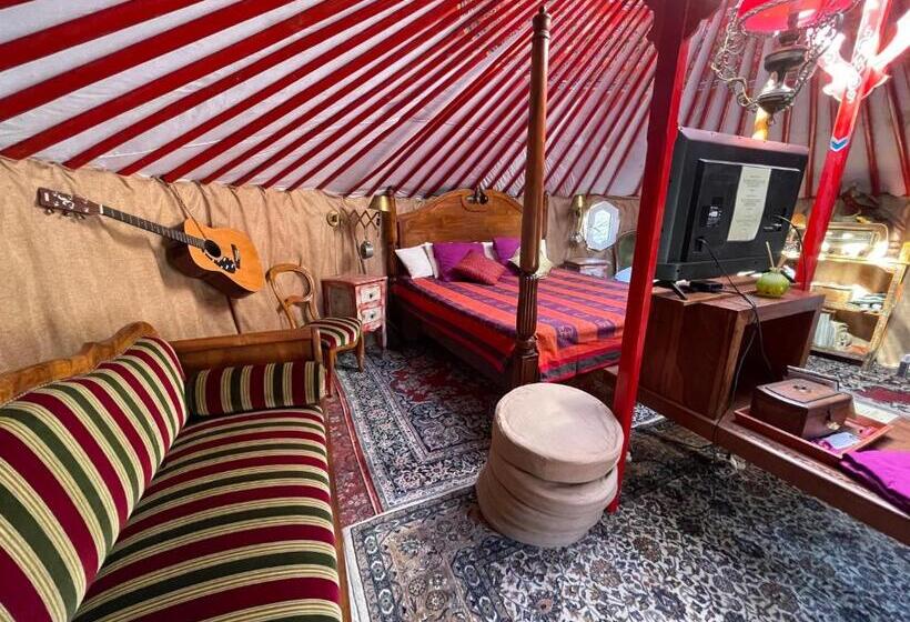 اتاق سوپریور خانوادگی, Crazy Lounge B&b