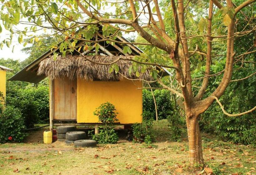 Номер Стандарт, Maracumbo Lodge