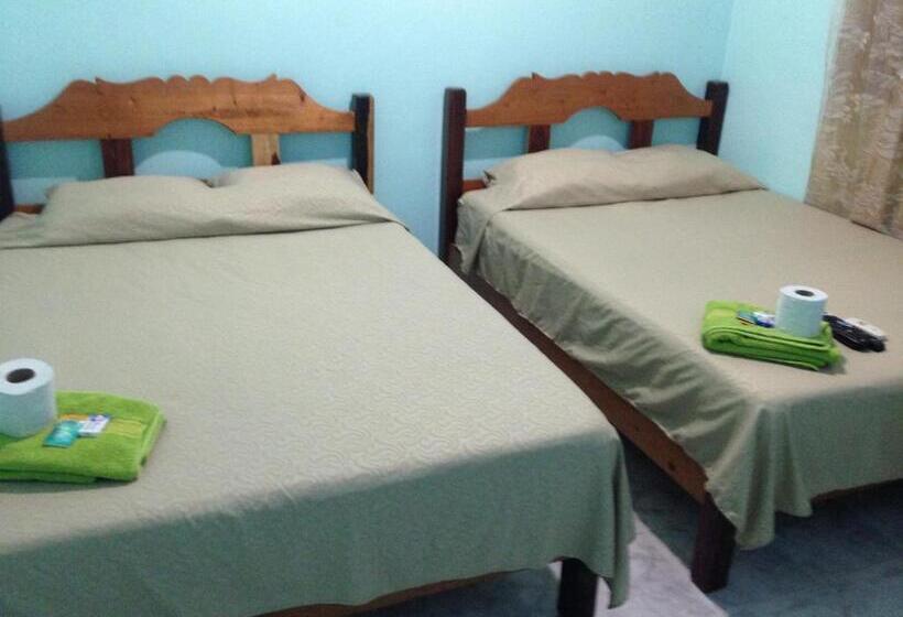 Basis Zimmer, Chaac Calakmul
