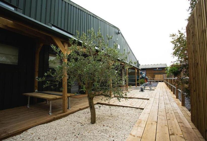 إستديو عائلى, Owen House Farm