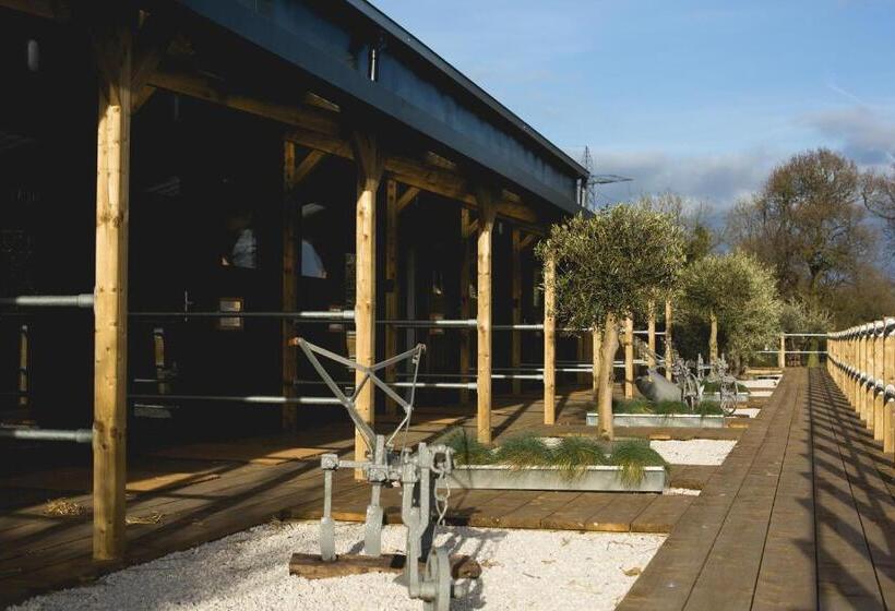 Семейный Номер, Owen House Farm