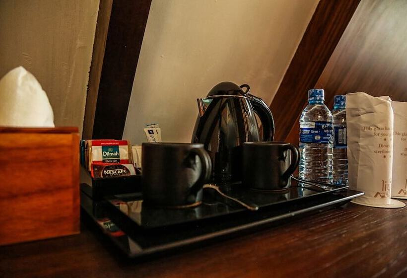 ویلای سوپریور 1 خوابه, Liyya Water Villas