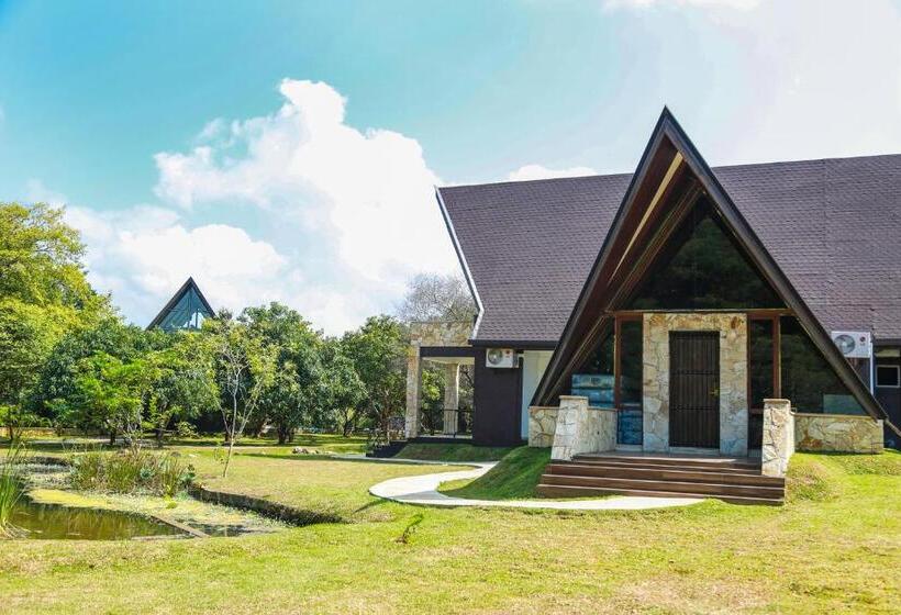 ویلای سوپریور 1 خوابه, Liyya Water Villas
