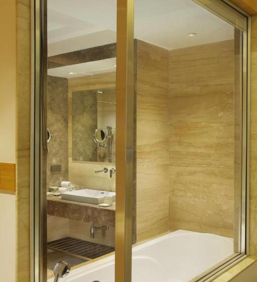 اتاق کلاس بیزنس, Radisson Blu Jammu