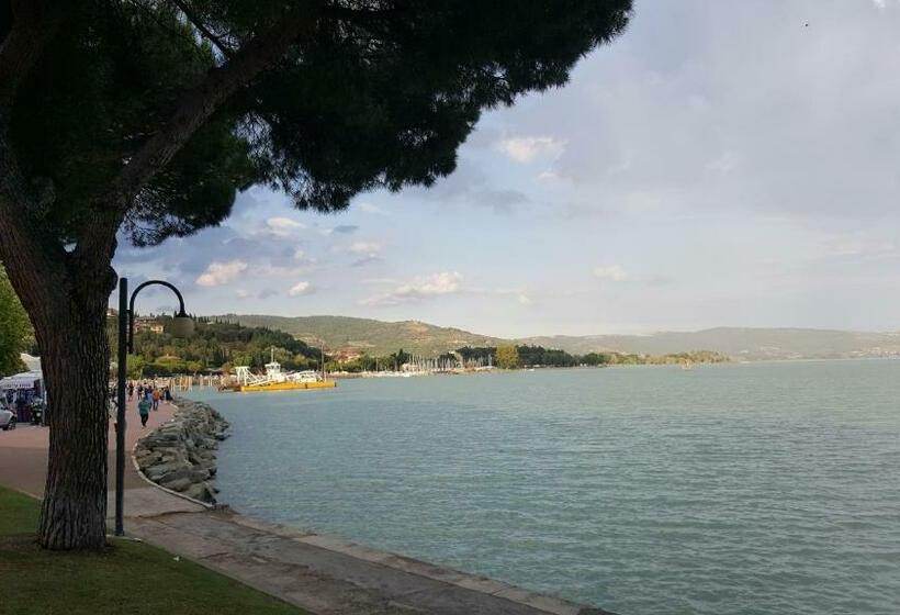 标准间, Orto Degli Ulivi